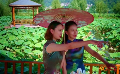 又是一年荷花开 姚安光禄古镇千亩荷花等你来！