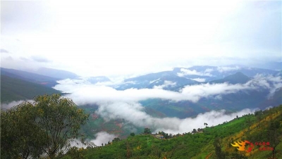 组图：“雾锁山乡”，南华雨后的乡间美景如画