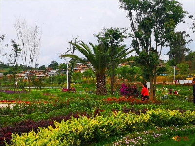 【攻略】楚雄周末热门自驾地！颜值高离家近，美景美食遍地！