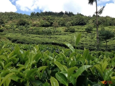“一起爬山吗？”正经的那种！楚雄爬山指南请收好