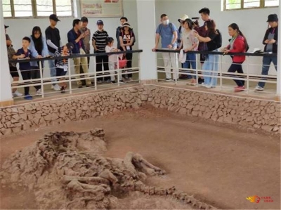【寻龙之旅】“奥帆——云南地球科考营”到禄丰进行科考活动