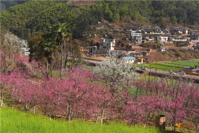走起，去南华咪依噜风情谷赏美景、享美食、感受彝族风情！