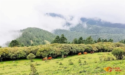 “一起爬山吗？”正经的那种！楚雄爬山指南请收好