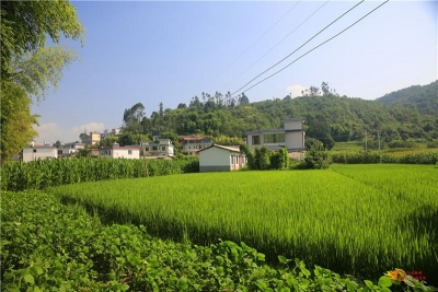 翠竹林海、田园风光......禄丰超美小众景点，周末约起来！