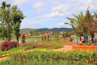 【攻略】楚雄周末热门自驾地！颜值高离家近，美景美食遍地！