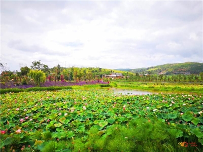 【攻略】楚雄周末热门自驾地！颜值高离家近，美景美食遍地！