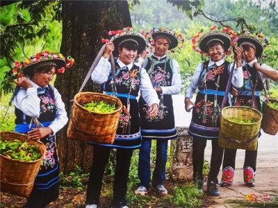 南华县2020年“神奇哀牢·茶山彝韵”美术摄影作品展开展
