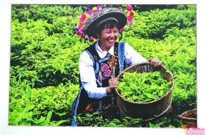 【多图】楚雄州“神奇哀牢·茶山彝韵”美术摄影作品展在南华开展