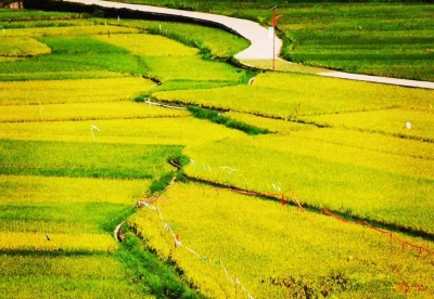 秋天邂逅美丽乡村，美食、美景惹人醉！