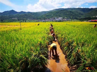 秋天邂逅美丽乡村，美食、美景惹人醉！