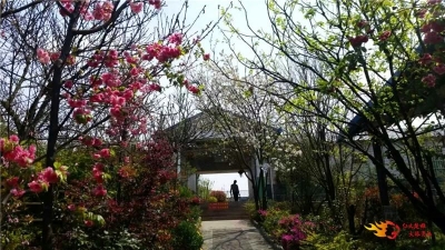 禄丰县罗次温泉小镇建设项目开工
