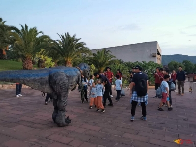 禄丰县文化和旅游局全力做好“六稳”工作，落实“六保”任务