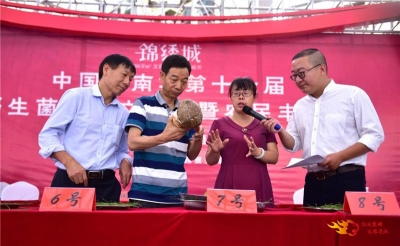 美丽南华，野菌飘香！南华第十七届野生菌美食文化节暨农民丰收节启幕