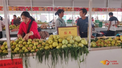 禄丰和平镇水果街开街啦！缤纷水果等你来尝！