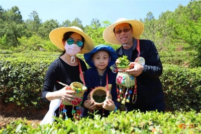 每一处都想去！中秋国庆楚雄乡村游“打卡”攻略来了