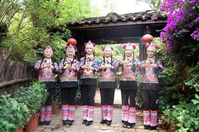 正在公示！楚雄州武定县白路镇入选“云南民间文化艺术之乡”