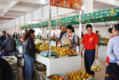 禄丰和平镇水果街开街啦！缤纷水果等你来尝！