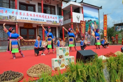 禄丰县乡镇文化站“小堡垒”发挥大作用