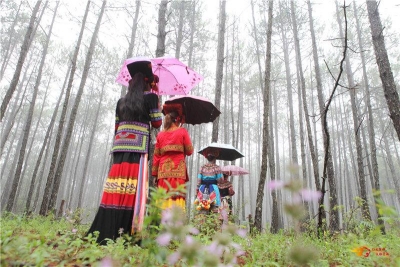 厉害了！永仁方山又迎来大型旅游团，国庆假期你也来吧！