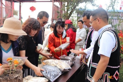 “民族文化+旅游”：双柏县乡村旅游不断升温