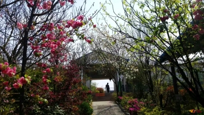 泡温泉、品美食、游古村……禄丰精品线路带你畅游恐龙之乡！