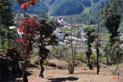正在公示！楚雄州3个村拟认定为云南省旅游扶贫示范村