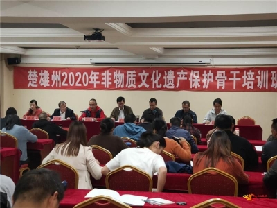 楚雄州举办2020年非物质文化遗产保护骨干培训会