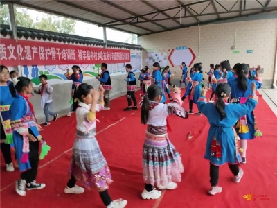 楚雄州举办2020年非物质文化遗产保护骨干培训会