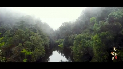 哀牢秘境——无人机带你领略楚雄州哀牢山自然保护区
