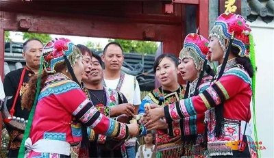 喜讯！楚雄州武定县白路镇被正式命名为“云南民间文化艺术之乡”