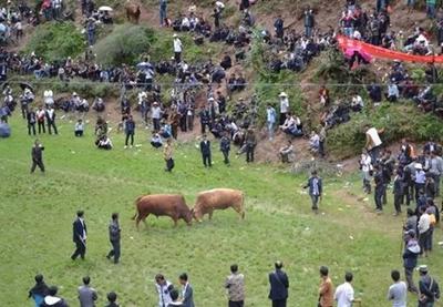 喜讯！楚雄州武定县白路镇被正式命名为“云南民间文化艺术之乡”