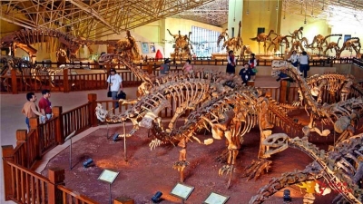 楚雄八条精品旅游线路带您领略彝乡之美