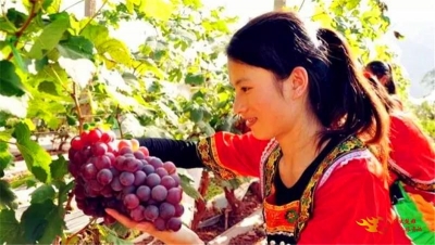 降温不怕，到双柏大麦地开启暖冬之旅！