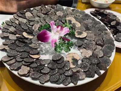 永仁松露，冬日里不能错过的珍馐美味