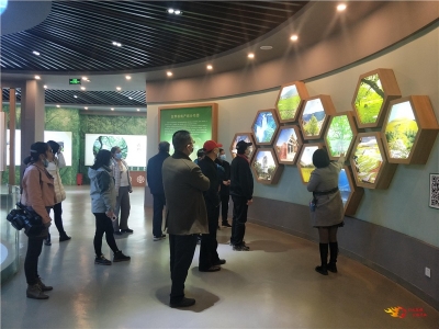 省州评定验收组到大姚县检查验收省级全域旅游示范区品牌创建工作