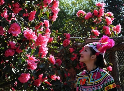 收好够玩一整年！2021年楚雄旅行时间表出炉