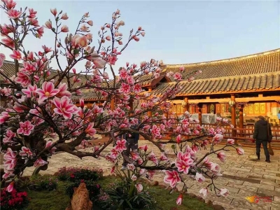 网剧《燕山派与百花门》到姚安光禄古镇取景拍摄