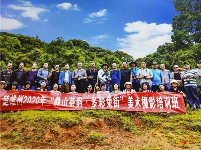 南华县文化和旅游局坚持党建引领 铸造公共文化服务新品牌