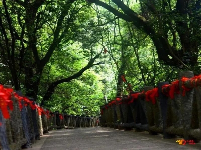 武定狮子山景区2021年门票政策出炉，游玩攻略看这里！