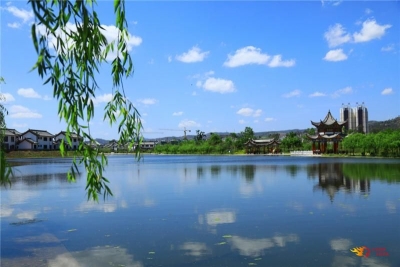又是一年冬樱烂漫时，大姚蜻蛉湖湿地公园景美如画