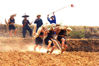 楚雄双柏县春节期间群众文化活动丰富多彩