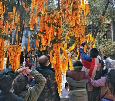 共接待游客76.85万人次！楚雄州春节假期旅游热而有序