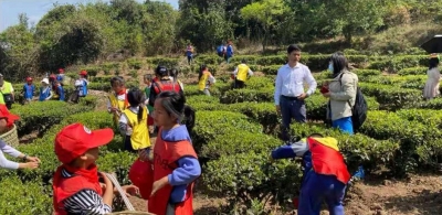 楚雄双柏：春日风光美  捧热乡村游