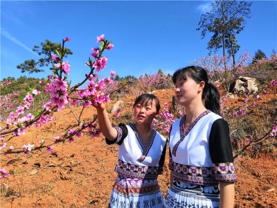 赏花、游园、踏青去哪里？楚雄禄丰有个乡村旅游好去处！