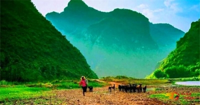 周末出游 | 禄丰恐龙山镇玩场多，约起来！