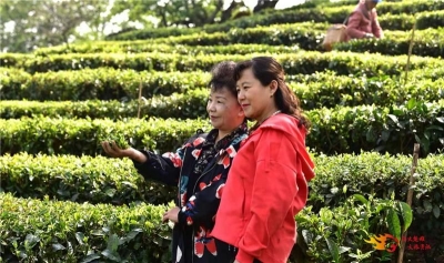 文旅市场强劲复苏！清明假期楚雄州接待游客超64万人次