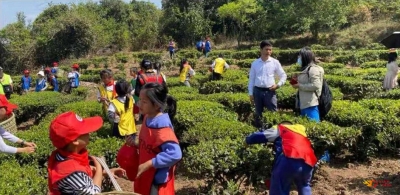 双柏县文旅融合发展迈出新步伐