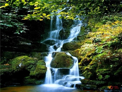 炎炎夏日，来楚雄紫溪山享受你的一日清凉