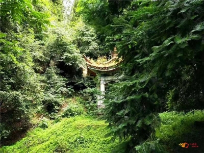 炎炎夏日，来楚雄紫溪山享受你的一日清凉