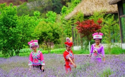 禄丰一平浪镇重塑生态资源，发展旅游助力乡村振兴